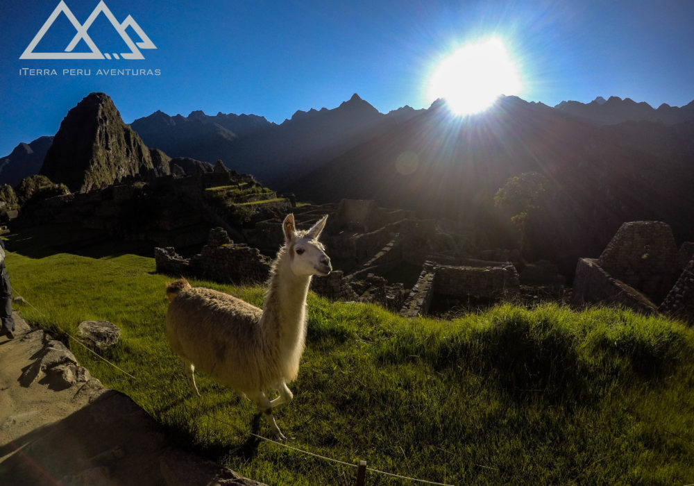 BBC Mundo: Estudo diz que os Incas construíram Machu Picchu em falhas geológicas