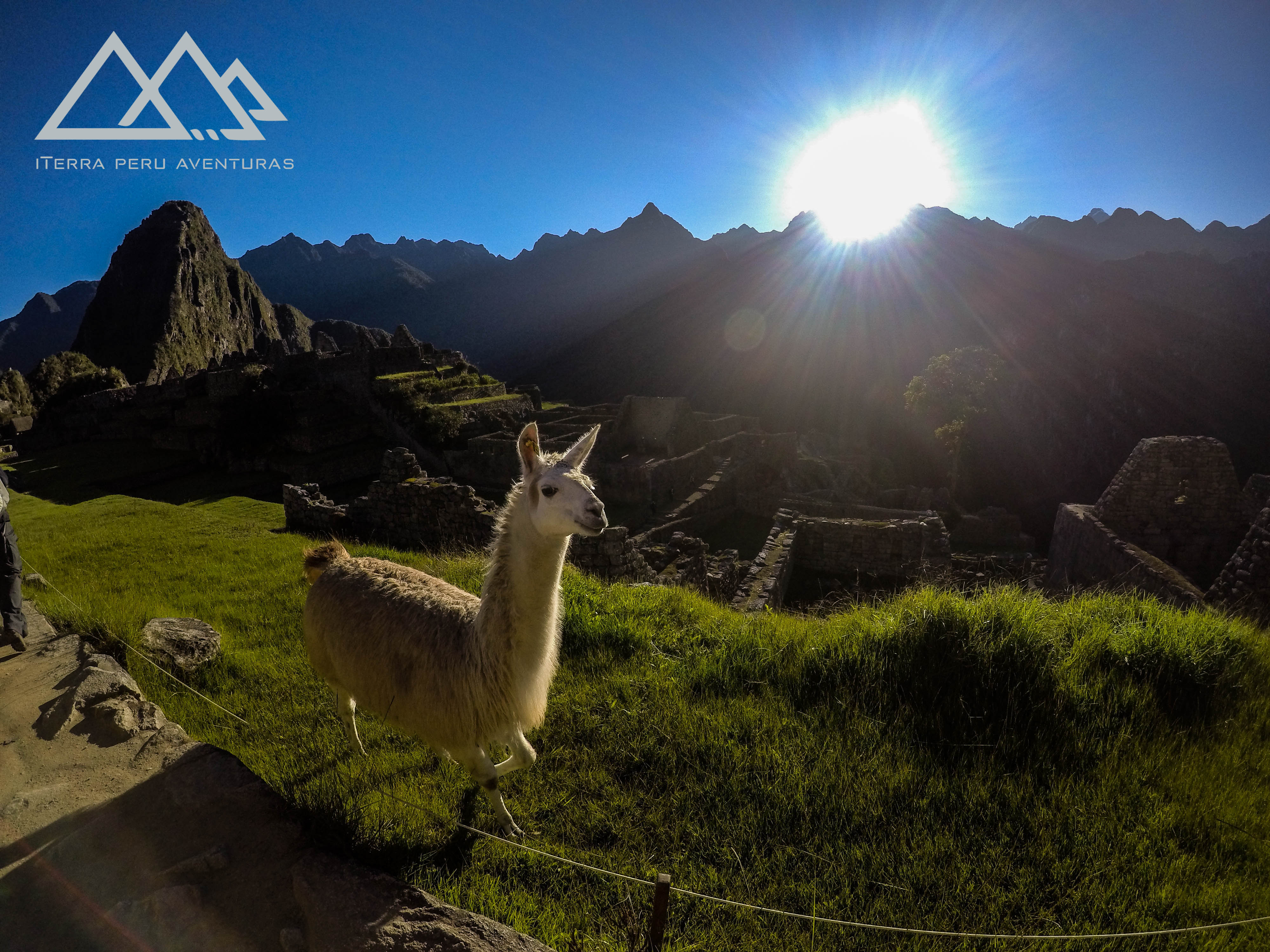 BBC Mundo: Estudo diz que os Incas construíram Machu Picchu em falhas geológicas