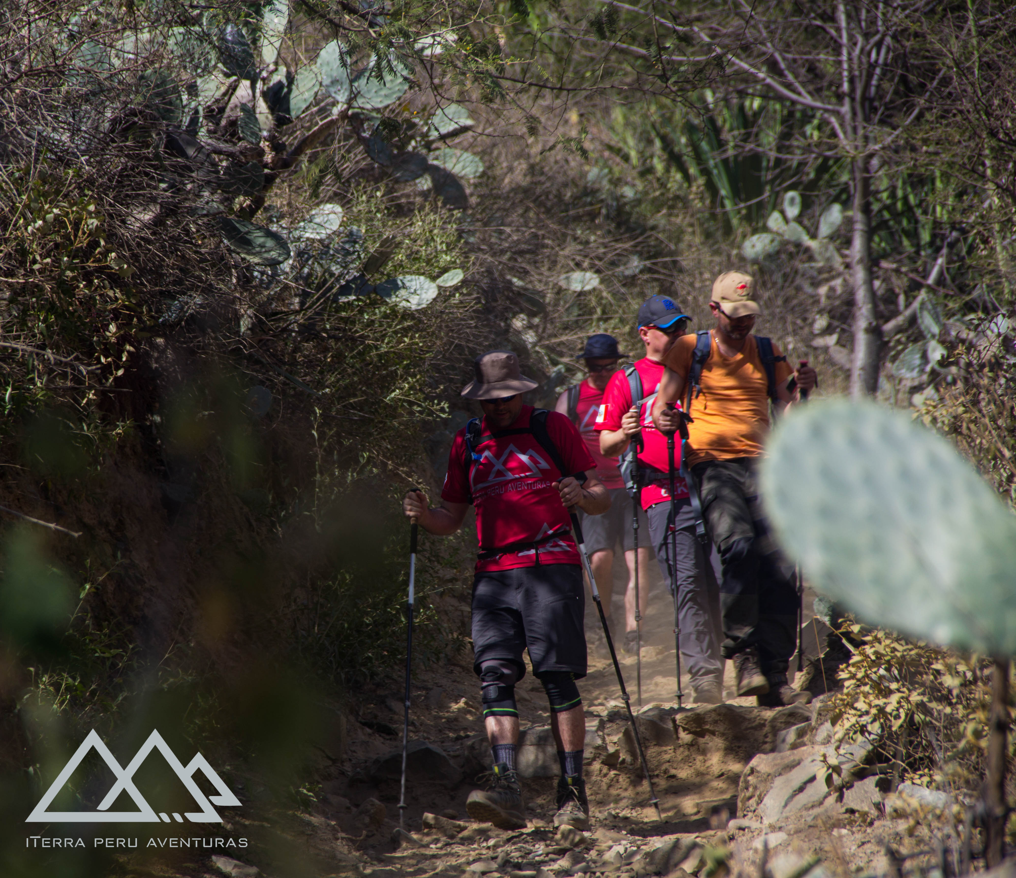 TRILHA CHOQUEQUIRAO / PERU:  tudo o que você precisa saber