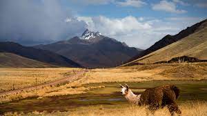 ROTA DO SOL EM CUSCO