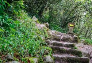10 fatos que você deve saber antes de viajar para Machu Picchu